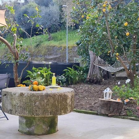 Rita Home B&B סורנטו מראה חיצוני תמונה