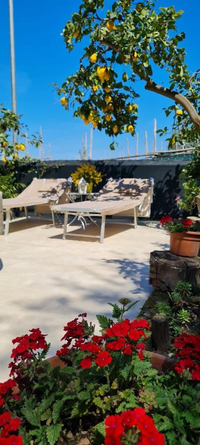 Rita Home B&B סורנטו מראה חיצוני תמונה